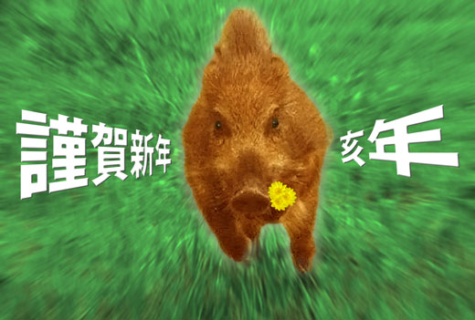 2019年明けましておめでとうございます